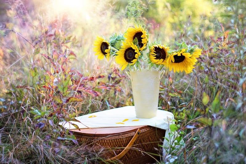 Outdoor Garden